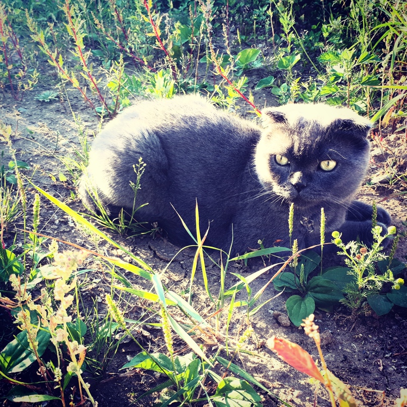 Светлана Козлова | Тверь