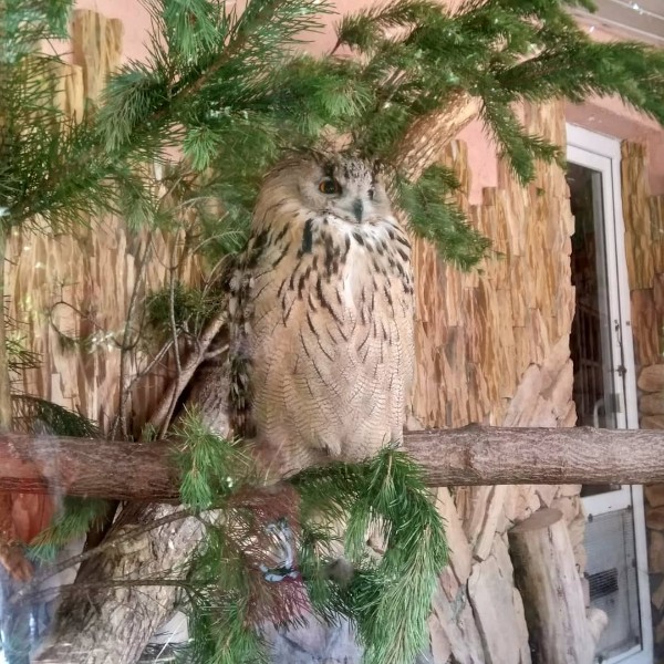 Анастасия Баскакова | Санкт-Петербург