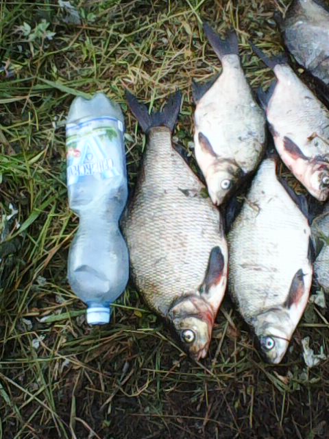 Макс Казаков |