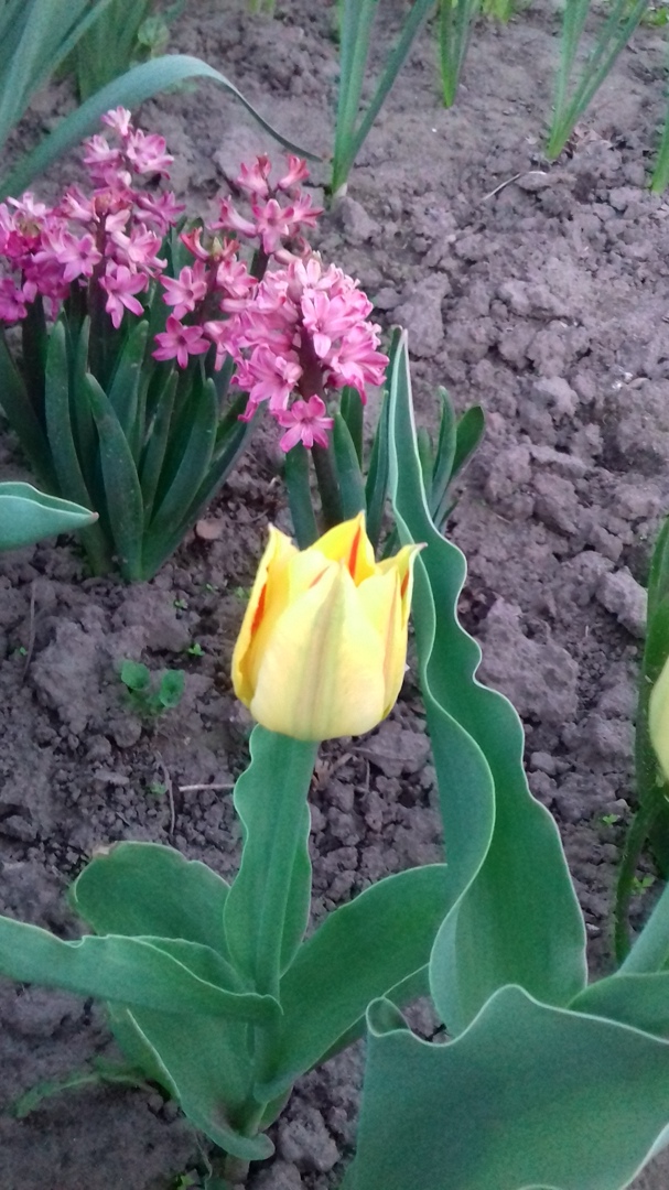 Светлана Усачёва | Богородск