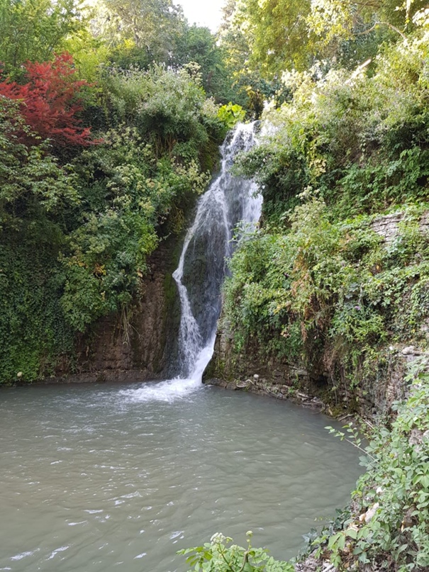 Ольга Корнеева | Санкт-Петербург