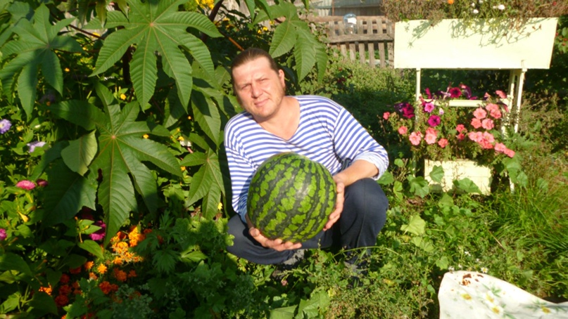 Игорь Харитонов Александрович | Шымкент