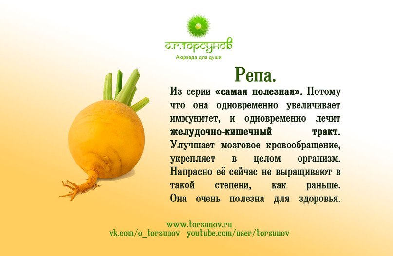 Людмила Фунина | Санкт-Петербург