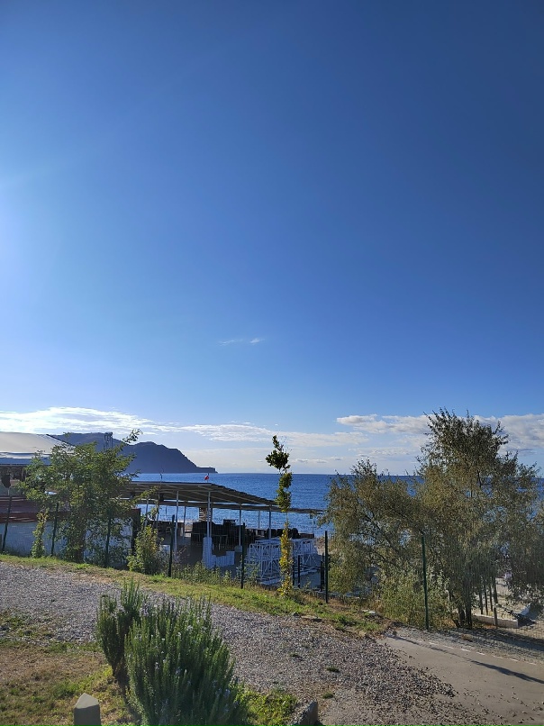 Илья Герман | Новосибирск