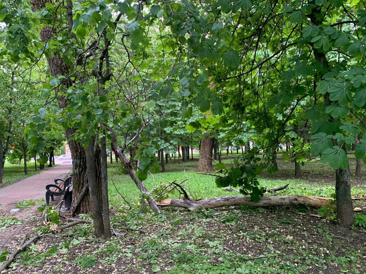 Парк бородино курск фото Парк бородино курск фото