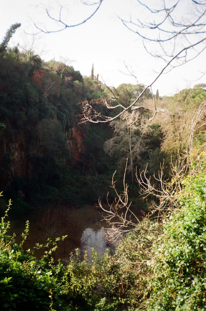 Леонид Макаров | Санкт-Петербург