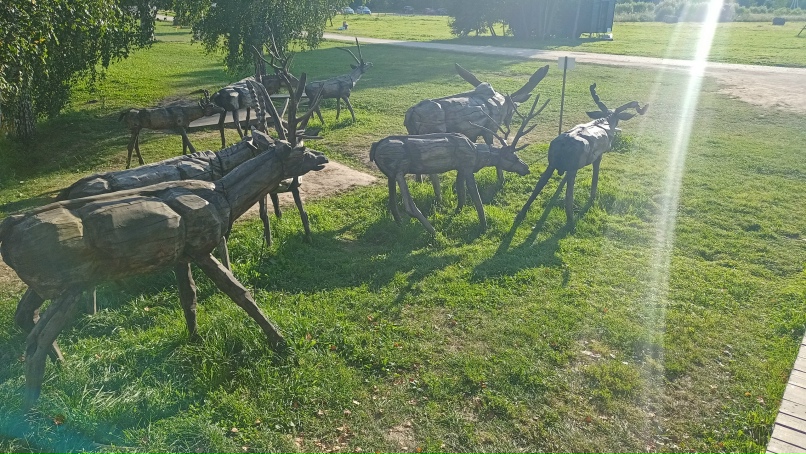 Антон Русецкий | Смоленск