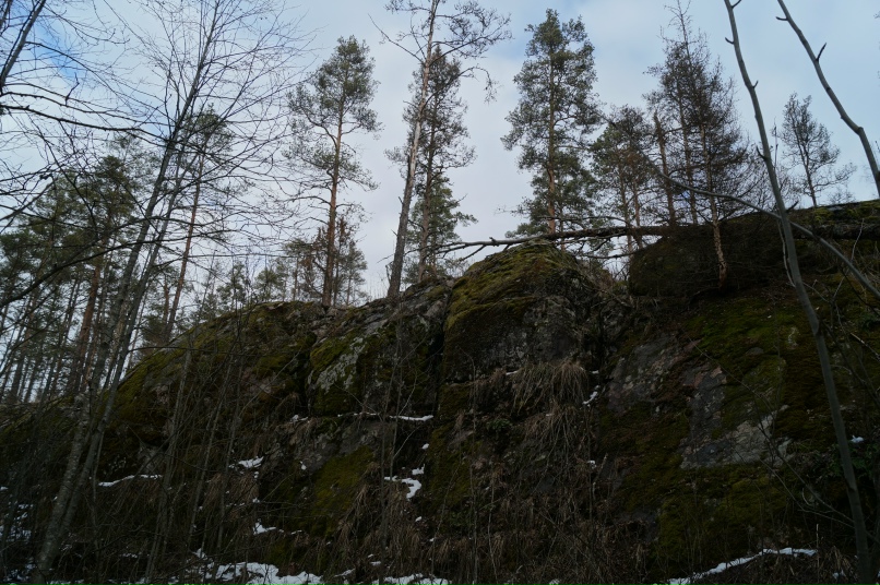 Андрей Гусев |