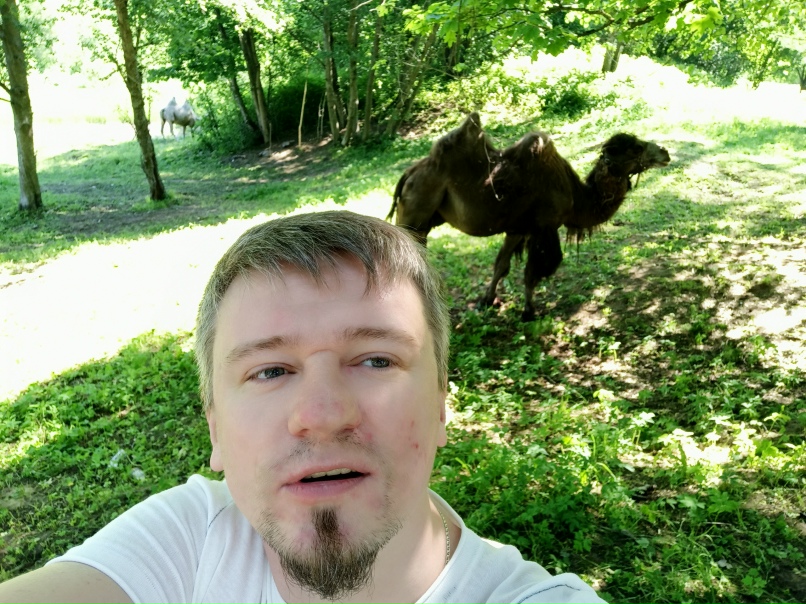 Алексей Ежов | Санкт-Петербург