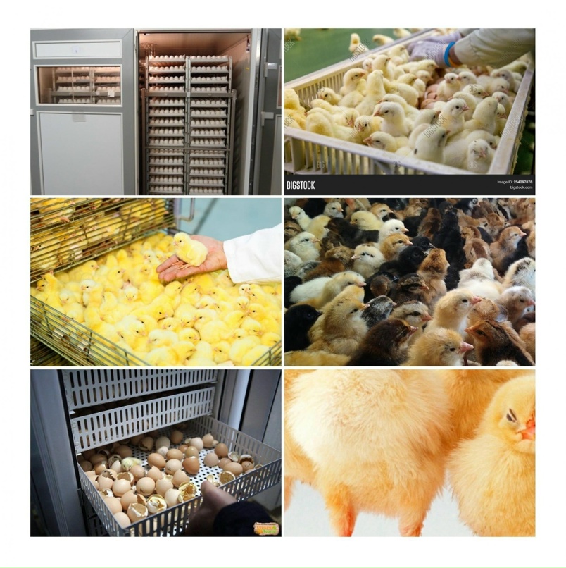 Татьяна Маслова | Самара