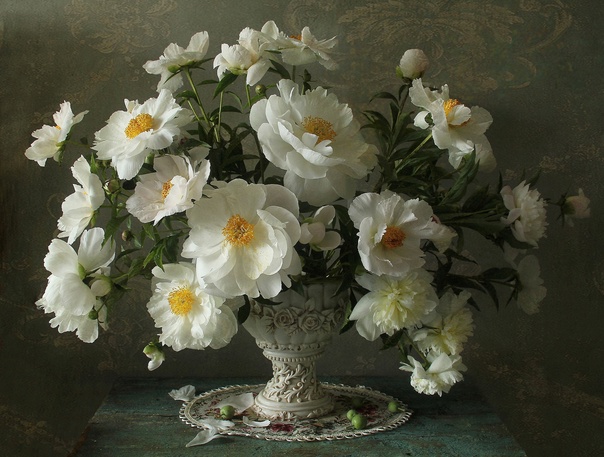 Photographer Marina Filatova