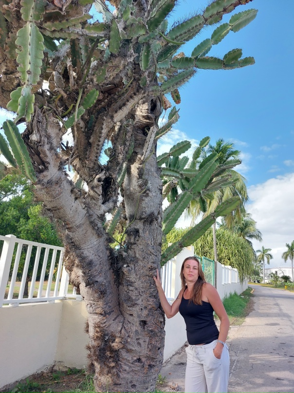 Екатерина Земцова | Коломна