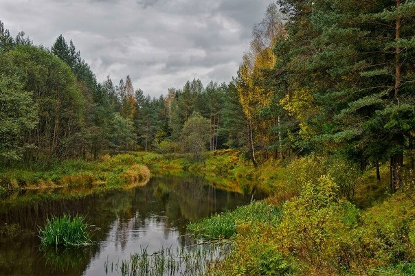 Река в твери - Поход - сплав по р.Тверца в городе Тверь на SUP досках