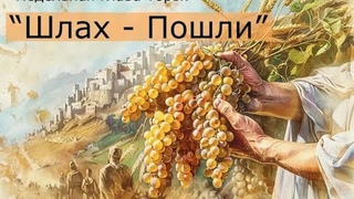 ШЛА ЛЕХА 5785 Beit Hallel, Сарасота, Флорида