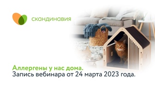 Аллергены у нас дома. Запись вебинара от 24 марта 2023 года.