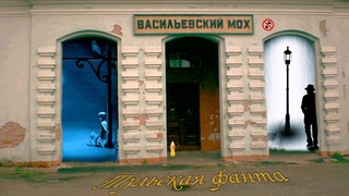 Васильевский Мох. Посёлок утонувший в болоте