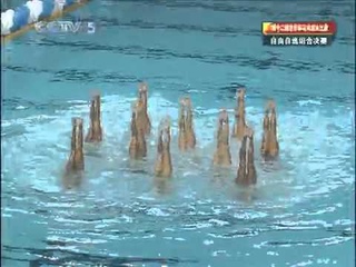 CHINA COMBO fina synchro world cup 2010