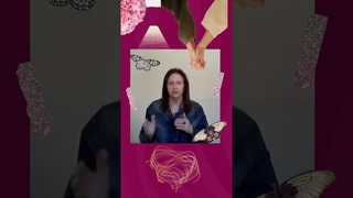 fake no existe no meu dicionrio - Vera Lcia Volpi - 02/05/2023