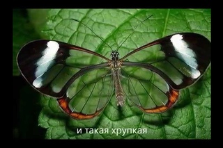 Прекрасная и хрупкая планета Земля.