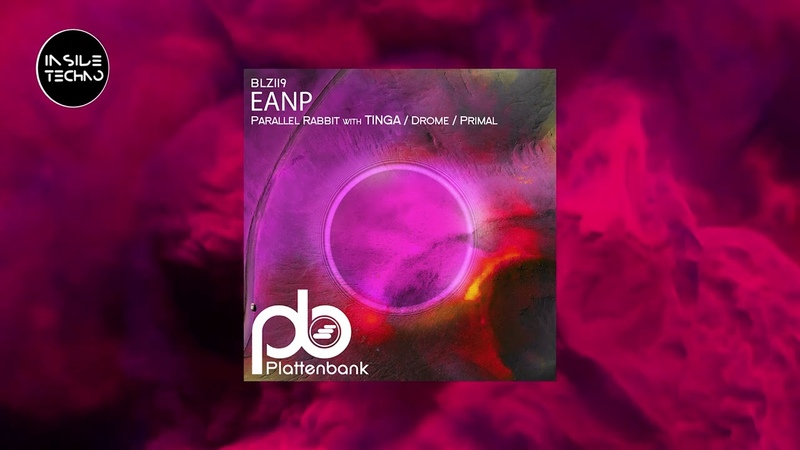 EANP Tinga Parallel Rabbit Inside