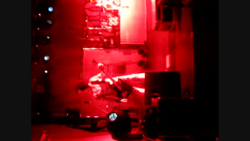 Amatory Jays