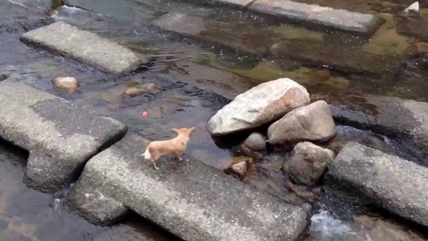 Caught this guy playing by