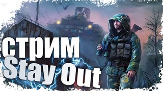 ARENA( ЖДУ ДОНАТ КАК СВОЕ ДР #d_anzoo   #shorts