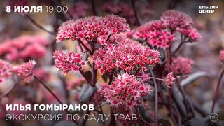 Илья Гомыранов  о секретах обитателей Сада трав