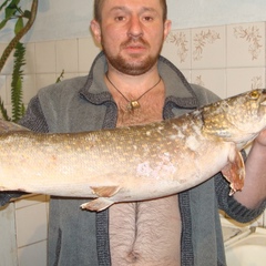 Константин Ермин, 39 лет, Екатеринбург