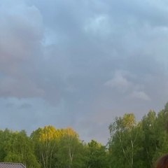 Поля Пак