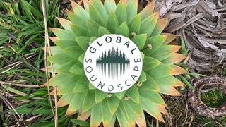 Global Soundscape |Mix By Bosque| Episode 006 | Minük • Jakare • Migra • Liquid Bloom • Poranguí