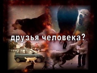 Друзья человека-3. Откуда берутся Догхантеры? - YouTube