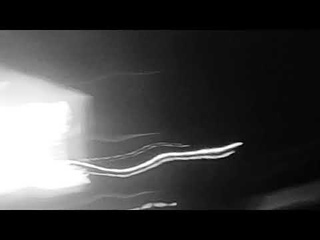 Daniel Avery – Bliss