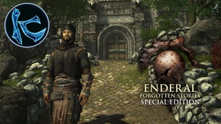 ПУТЬ К ВОЛШЕБНИКУ  Enderal Forgotten Stories  ПРОХОЖДЕНИЕ #2