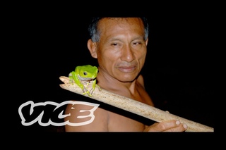 Tripping on Hallucinogenic Frogs (Part 2/3)