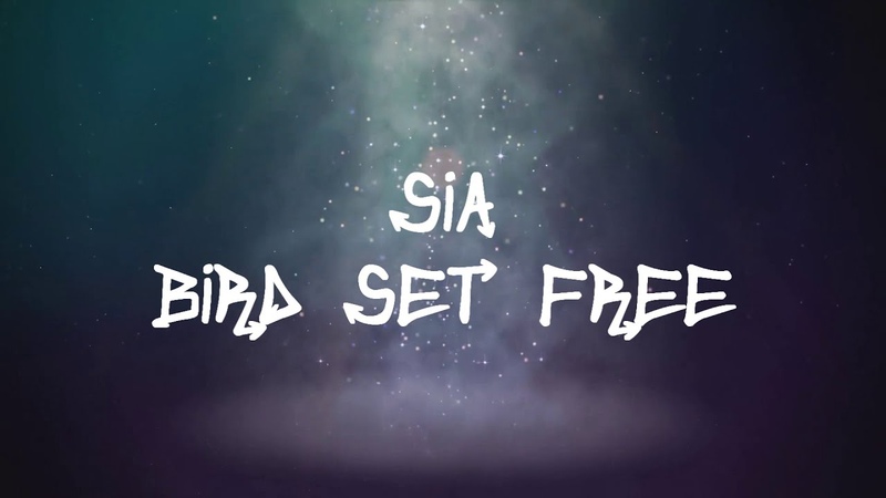 Sia Bird Set Free (