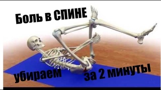 СПЕЦ УПРАЖНЕНИЯ при БОЛЯХ в СПИНЕ - Special EXERCISES for BACK  PAIN
