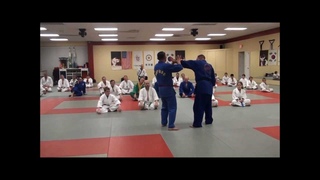 Sinmoo Hapkido seminar
