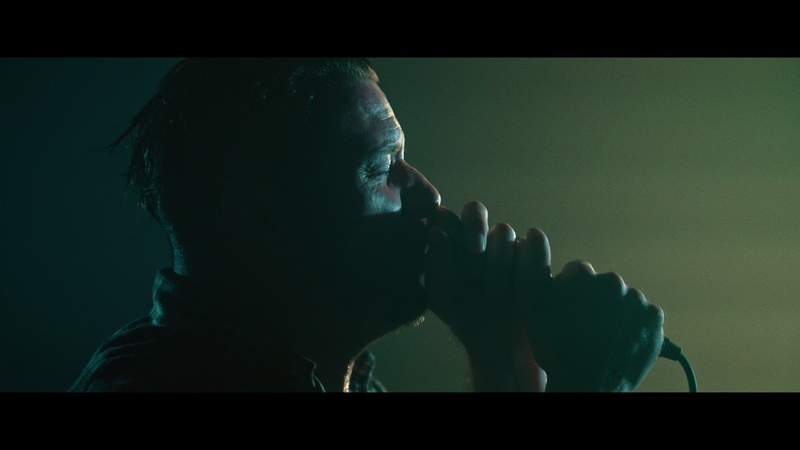 The Five Hundred Black Dogs ( Official