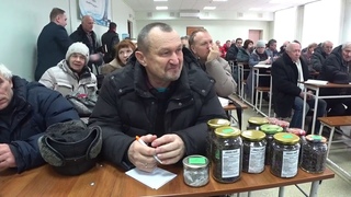 Здоровые пчелы   чистый мед часть 1