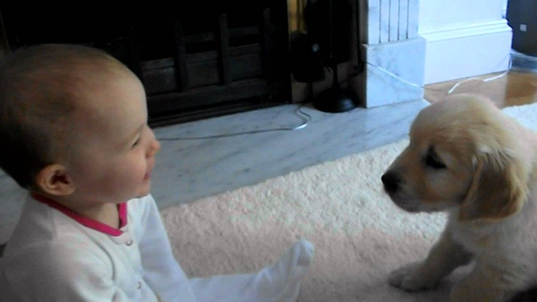 Baby and Puppy meet for the first